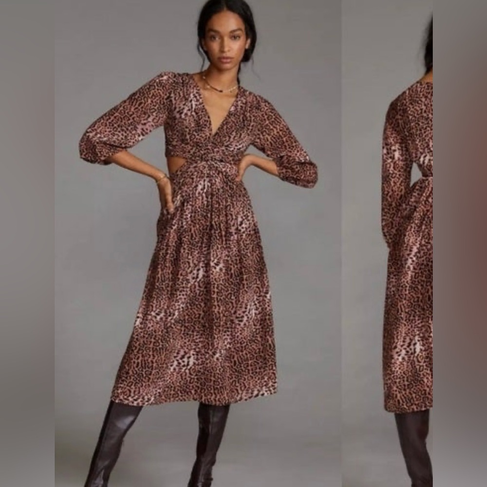 Ranna Gill Leopard Print Dress